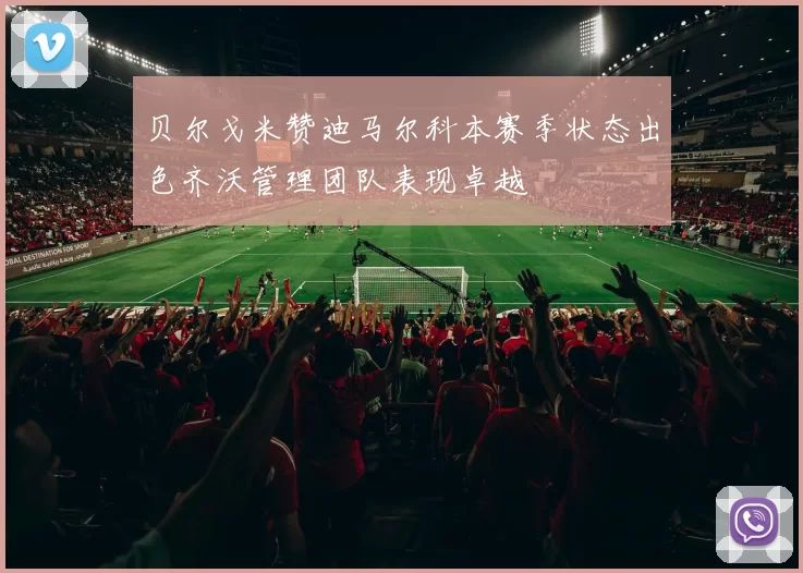 贝尔戈米赞迪马尔科本赛季状态出色齐沃管理团队表现卓越