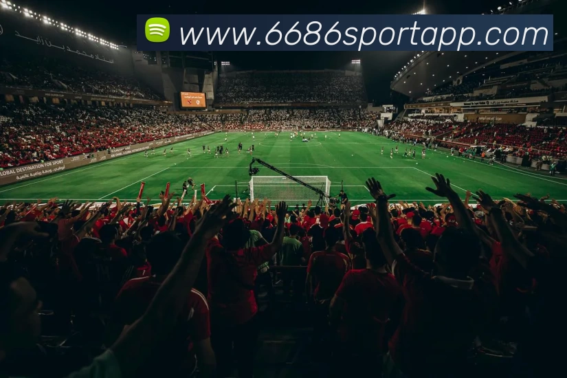 多媒体互动体验